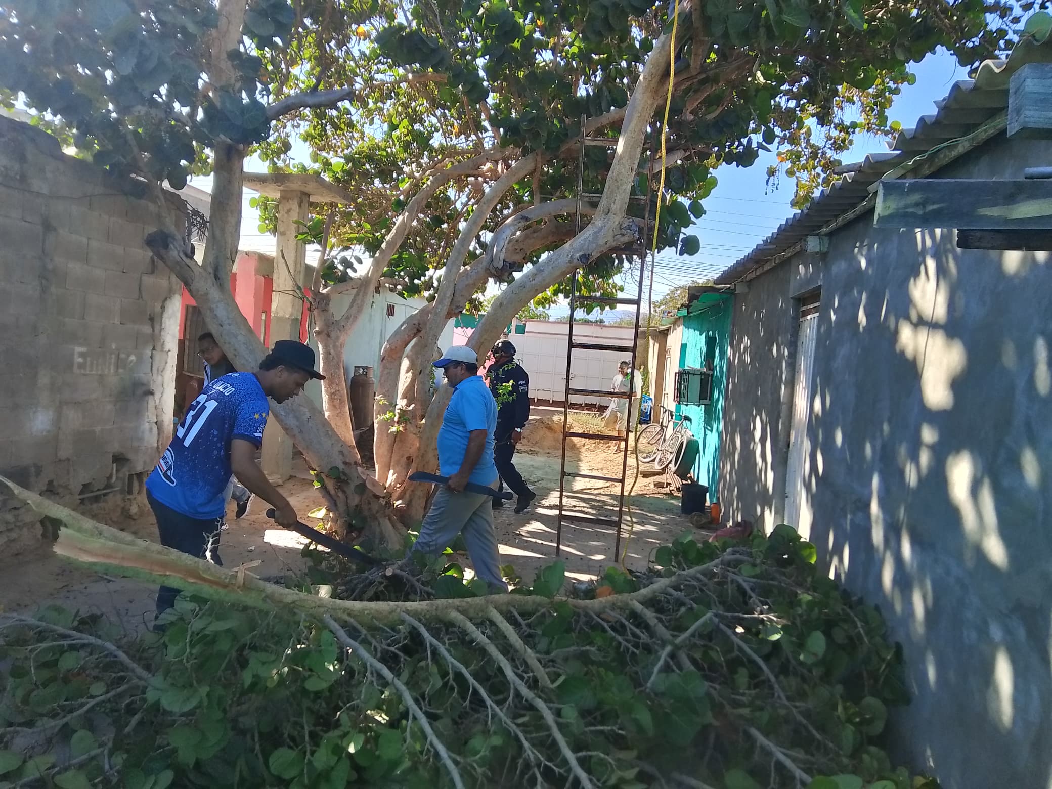 Alcaldía de Miranda mantiene operativo ambiental y de saneamiento 